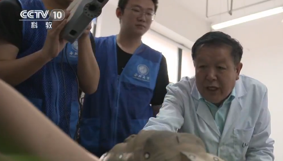 兵马俑的“数字修复师”周明全：梦想在虚拟现实中绽放(图1)