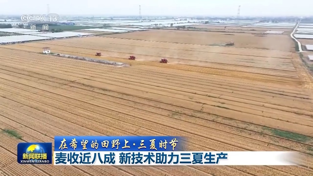 在希望的田野上丨“麦稻同框”丰收忙 大数据助力“三夏”时节颗粒归仓(图1)