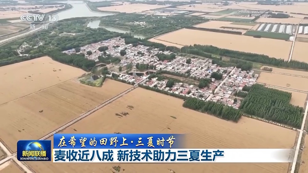 在希望的田野上丨“麦稻同框”丰收忙 大数据助力“三夏”时节颗粒归仓(图4)