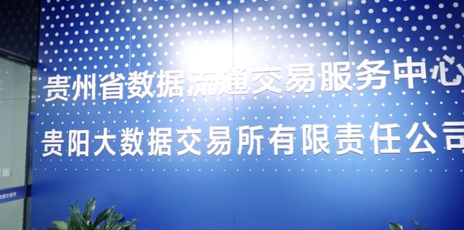 贵阳大数据交易所：释放数据要素价值 提供更优质的流通交易服务(图5)