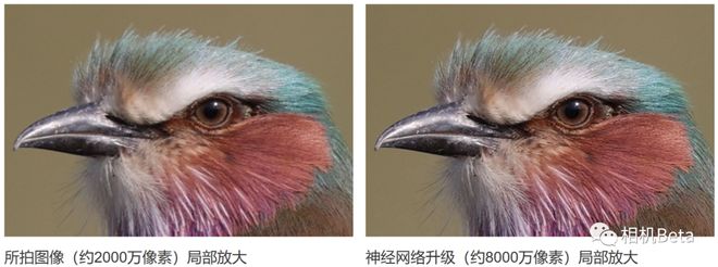 去马赛克、 降噪、 优化镜头！佳能两款“新品”即将上市后期处理或颠覆！(图8)